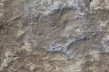 Sea-worn stone texture on a wild coastal beach.