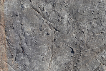 Sea-worn stone texture on a wild coastal beach.