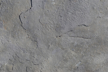 Sea-worn stone texture on a wild coastal beach.