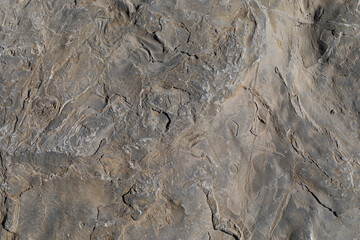 Sea-worn stone texture on a wild coastal beach.