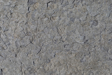 Sea-worn stone texture on a wild coastal beach.