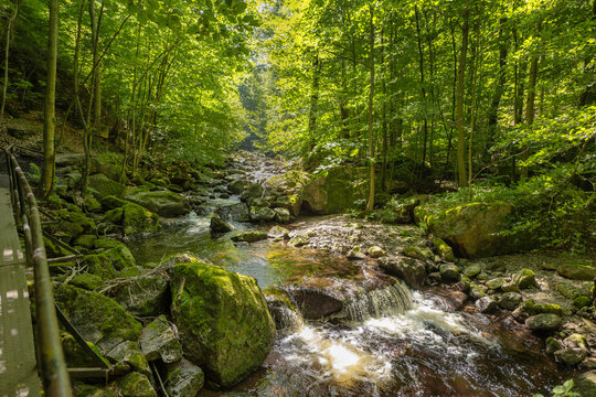 Sommerlicher Wanderweg mit Br&uuml;cke vom Ilsetal nach Plessenburg im Harz