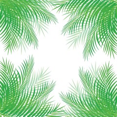 Tropical green palm leaves set. Tropical plant branches isolated on twhite background.