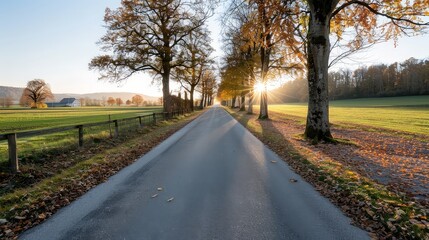 Fototapeta premium Tranquil Autumn Scene: Serene Countryside Road at Golden Hour with Scenic Trees and Peaceful Atmosphere