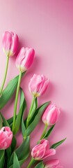 Naklejka premium Beautiful pink tulips on a light pink background. Concept for expressing love, springtime joy, and special occasions. Space for text. Copy space.