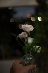 affects the quality of Bokeh image,okeh in photography is the quality of the entire area,Take photos close to the subject,