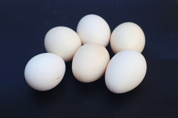 Free-range chicken egg or Gallus domesticus with close view on black background.