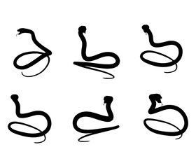 set of black and white snake