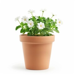 front porch flower pot on solid white background, single object