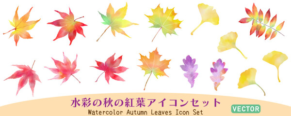 手描き水彩のカラフルな秋の紅葉アイコンセット　ベクターイラスト　背景なし　白バック	