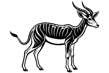 Springbok Silhouette, Springbok icon vector illustration