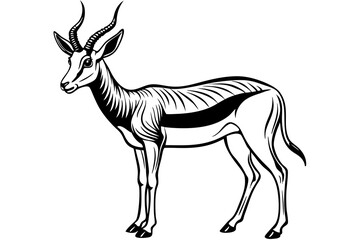 Springbok Silhouette, Springbok icon vector illustration