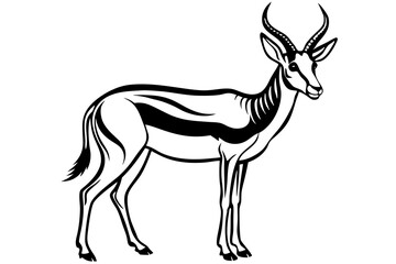 Springbok Silhouette, Springbok icon vector illustration