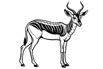 Springbok Silhouette, Springbok icon vector illustration