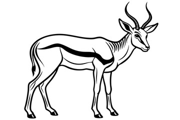 Springbok Silhouette, Springbok icon vector illustration