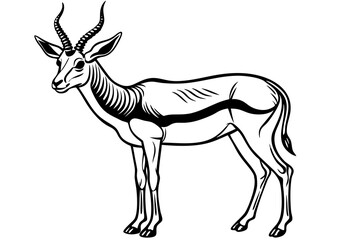 Springbok Silhouette, Springbok icon vector illustration