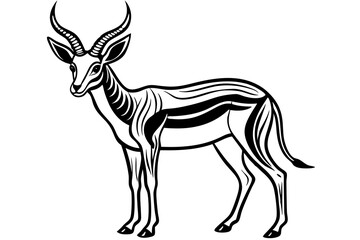 Springbok Silhouette, Springbok icon vector illustration
