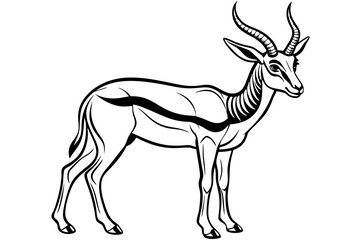 Springbok Silhouette, Springbok icon vector illustration