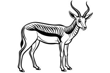 Springbok Silhouette, Springbok icon vector illustration