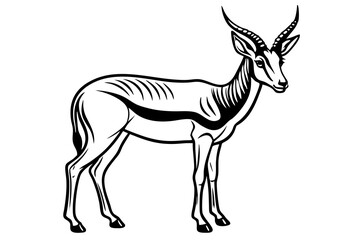Springbok Silhouette, Springbok icon vector illustration