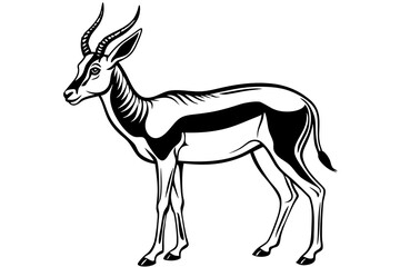 Springbok Silhouette, Springbok icon vector illustration