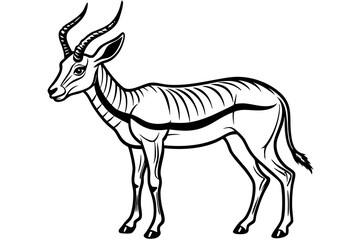 Springbok Silhouette, Springbok icon vector illustration