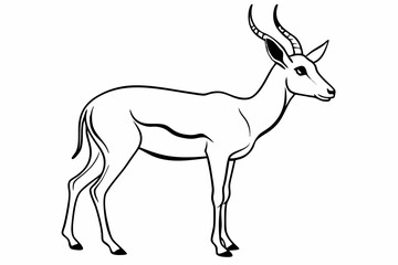 Springbok Silhouette, Springbok icon vector illustration