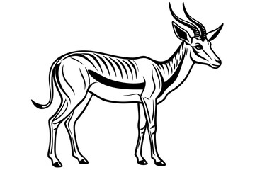 Springbok Silhouette, Springbok icon vector illustration