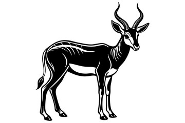 Springbok Silhouette, Springbok icon vector illustration