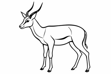 Springbok Silhouette, Springbok icon vector illustration
