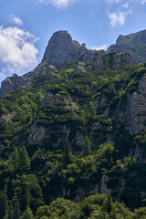 Mountain landscape in the summer