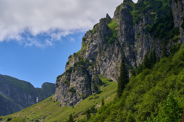 Mountain landscape in the summer
