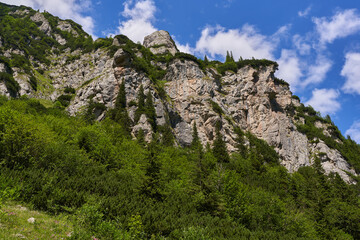 Mountain landscape in the summer