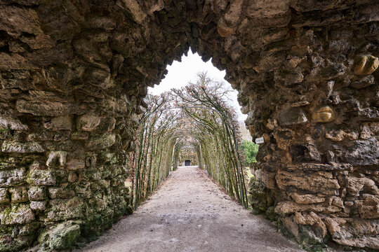 Pathway to Old Palace (Altes Schloss) at the Hermitage Court Garden (Hofgarten Hermitage) in Bayreuth, Germany	
