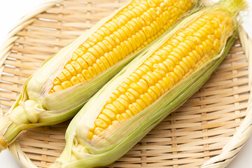 白背景に新鮮なトウモロコシ