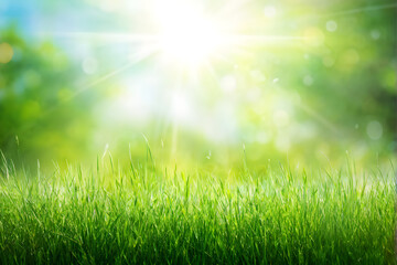 Obraz premium Beautiful spring background with green grass and sun light, blurred background