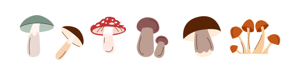 Happy harvest. Set of mushrooms. Autumn mushrooms in flat style isolated on white. Autumn, harvest, Thanksgiving concept.
