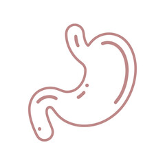 Stomach vector line icon flat design