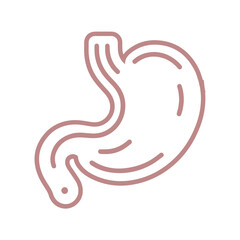 Stomach vector line icon flat design