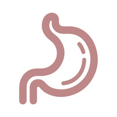 Stomach vector line icon flat design