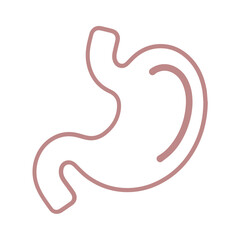 Stomach vector line icon flat design