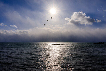 北海道白老町、カモメが飛び交う初冬のアヨロ海岸【12月】