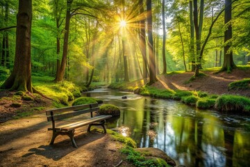 Obraz premium Serene landscape of lush green forest with sunbeams filtering through trees, a meandering stream, and a solitary wooden bench inviting tranquility and relaxation.