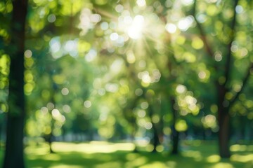 Obraz premium Beautiful blurred background of a natural summer forest with sunlight and bokeh effects.