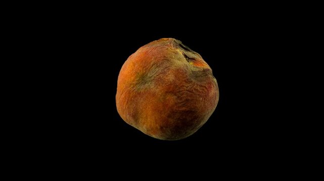 Timelapse of a rotting peach against a black background
