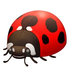 Obraz premium Lady Beetle