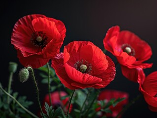 Obraz premium Red flowers in vase