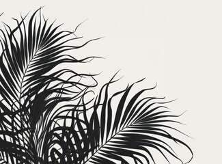Black silhouettes of tropical leaves, palm tree branch isolated on white background. Imitation of hand drawn flower sketches. Monochrome background with copy space. Minimalistic design
