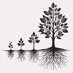 growth tree vector silhouette on a white background