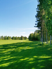 Obraz premium Summer park